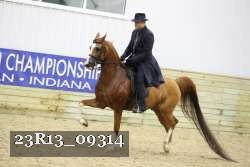 23R13_09314 thumbnail