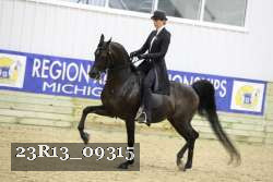 23R13_09315 thumbnail