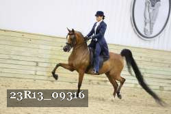 23R13_09316 thumbnail
