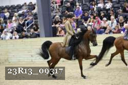 23R13_09317 thumbnail