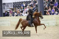 23R13_09319 thumbnail