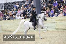 23R13_09320 thumbnail