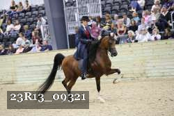 23R13_09321 thumbnail