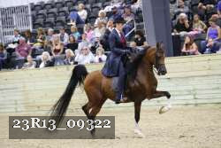 23R13_09322 thumbnail