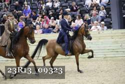 23R13_09323 thumbnail