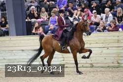 23R13_09324 thumbnail