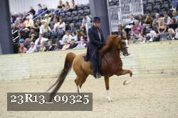23R13_09325 thumbnail