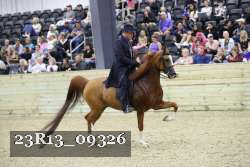 23R13_09326 thumbnail