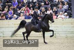 23R13_09327 thumbnail