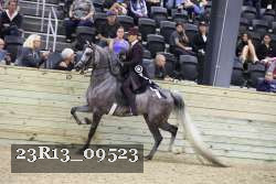 23R13_09523 thumbnail