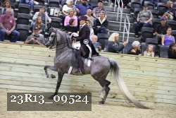23R13_09524 thumbnail