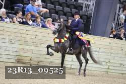 23R13_09525 thumbnail