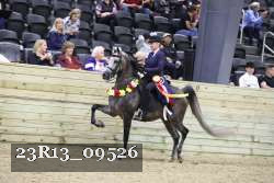23R13_09526 thumbnail