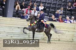 23R13_09527 thumbnail