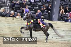 23R13_09528 thumbnail