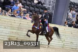 23R13_09531 thumbnail