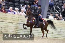 23R13_09532 thumbnail