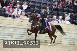 23R13_09533 thumbnail