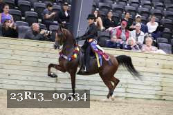 23R13_09534 thumbnail
