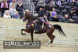 23R13_09535 thumbnail