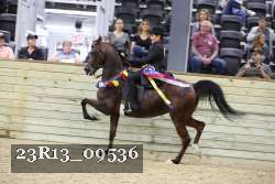 23R13_09536 thumbnail