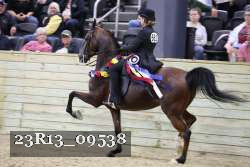 23R13_09538 thumbnail
