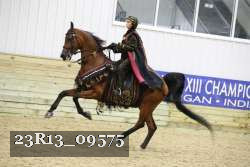 23R13_09575 thumbnail