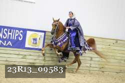 23R13_09583 thumbnail