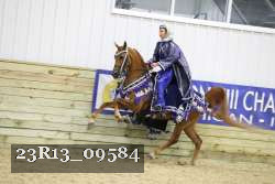 23R13_09584 thumbnail