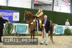 23R13_09590 thumbnail
