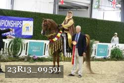 23R13_09591 thumbnail