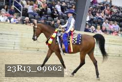 23R13_09662 thumbnail
