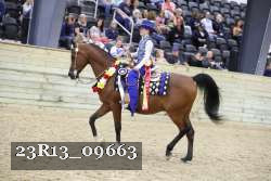 23R13_09663 thumbnail