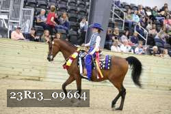 23R13_09664 thumbnail