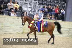 23R13_09665 thumbnail