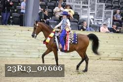 23R13_09666 thumbnail