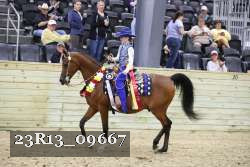 23R13_09667 thumbnail