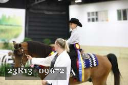 23R13_09672 thumbnail