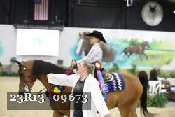 23R13_09673 thumbnail