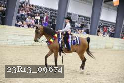 23R13_09674 thumbnail