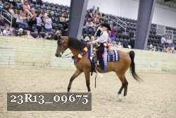 23R13_09675 thumbnail