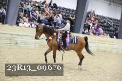 23R13_09676 thumbnail