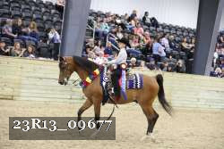 23R13_09677 thumbnail