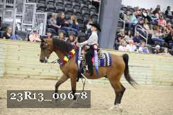 23R13_09678 thumbnail