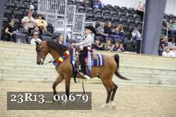 23R13_09679 thumbnail