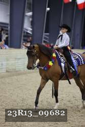 23R13_09682 thumbnail
