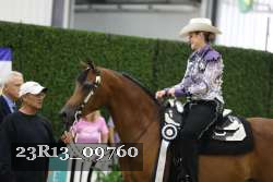 23R13_09760 thumbnail