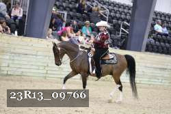 23R13_09766 thumbnail