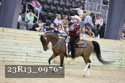23R13_09767 thumbnail