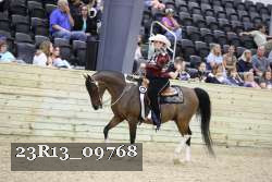 23R13_09768 thumbnail